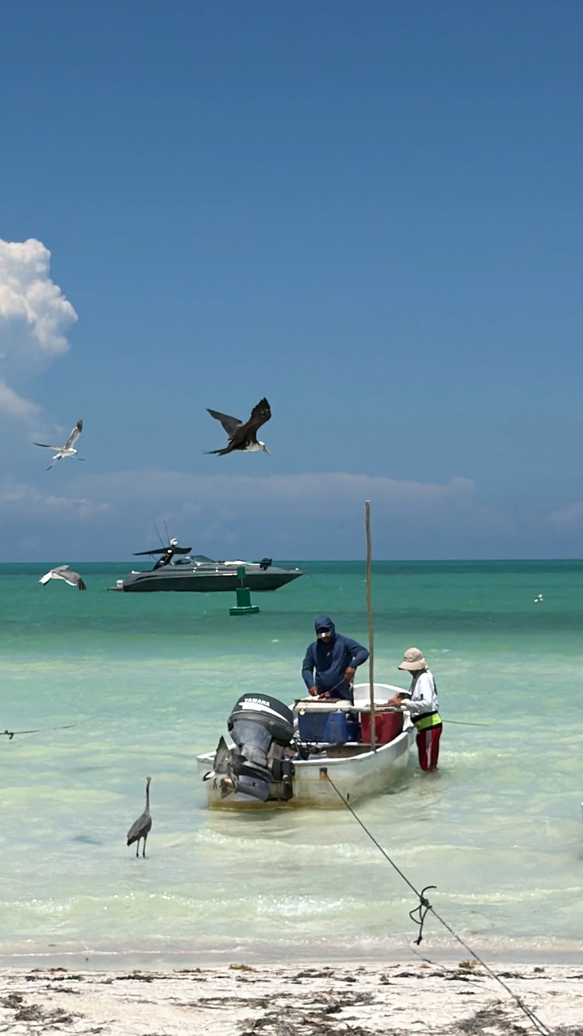 Pescadores en el mar color menta de Holbox con aves volando