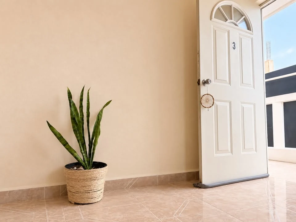 Puerta abierta con una planta en la entrada de Atardecer